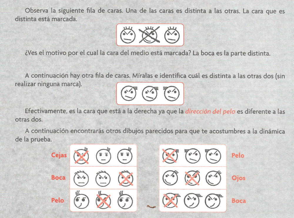 Instrucciones CARAS-R